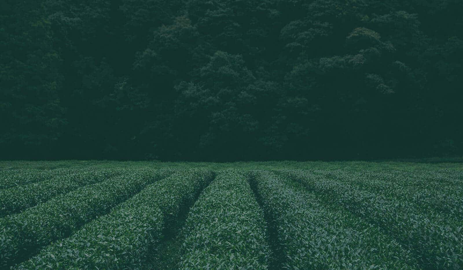 Agricultural Machinery Facility